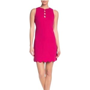 NWT Vince Camuto 6 Scalloped Cutout Hem Sleeveless